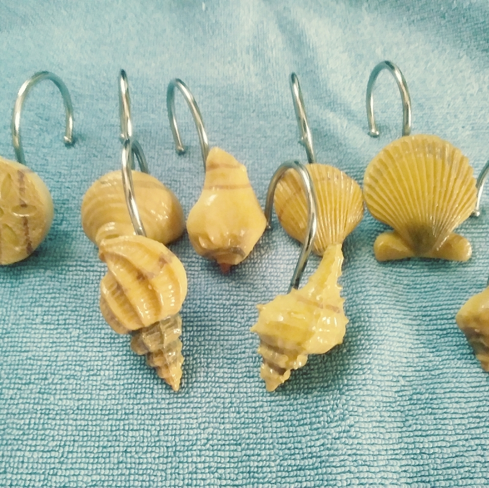 Shower Curtain Hooks